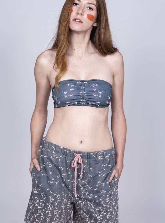 Bermuda Ursus - FLAMINGOS