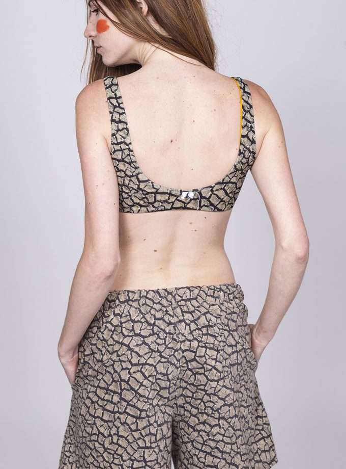 Bermuda Ursus - MUDCRACKS