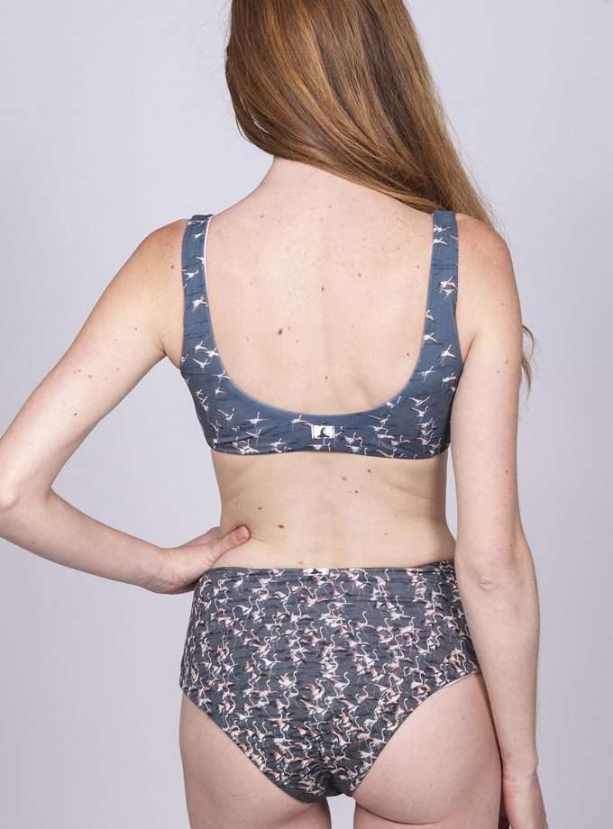 Bottom Carcharias - FLAMINGOS