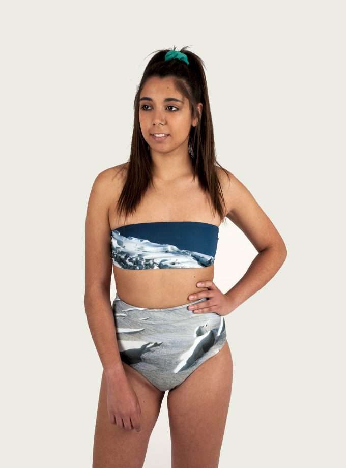 Bottom Phoconea- ARCTIC