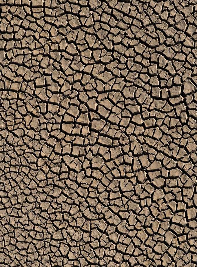 Bañador Spheniscus - MUDCRACKS