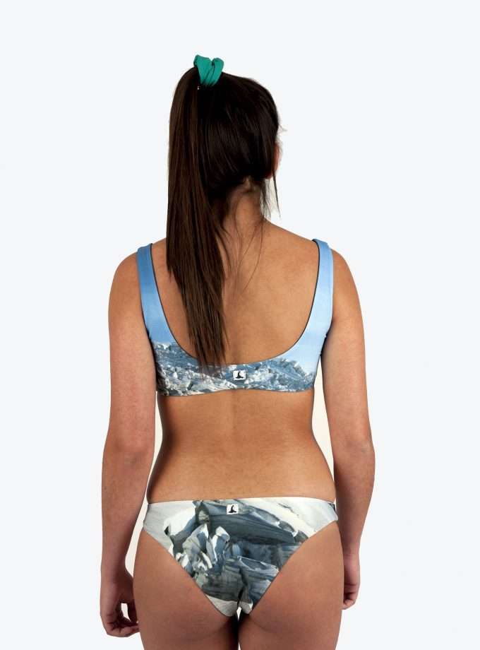 Top Chelinius - ARCTIC