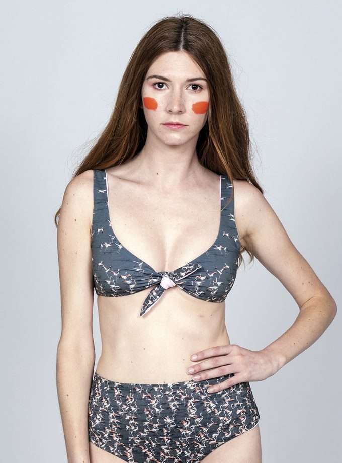 Top Dermochelys - FLAMINGOS