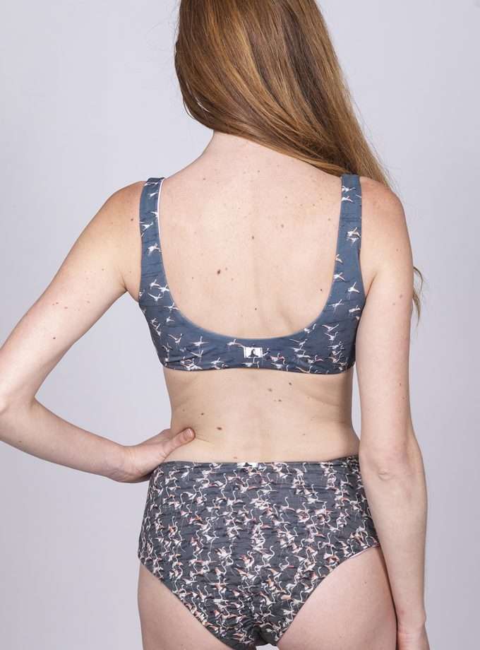 Top Dermochelys - FLAMINGOS