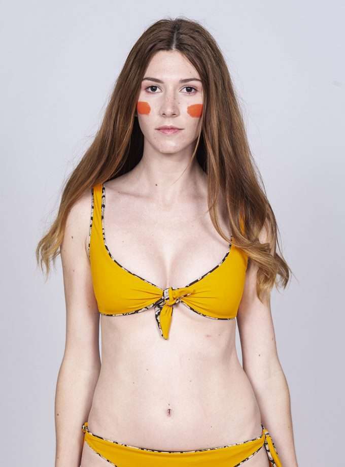 Top Dermochelys - MUDCRACKS